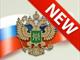 Минфин России формирует программу разработки ФСБУ до 2026 года