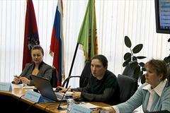 Заседание Совета по федеральным стандартам бухгалтерского учета Фонда «НРБУ «БМЦ» 22.02.2013